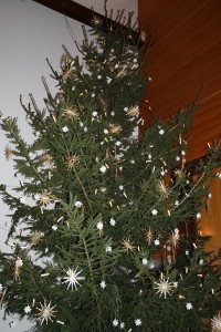 HP Baum