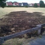 Wiesenbrand02