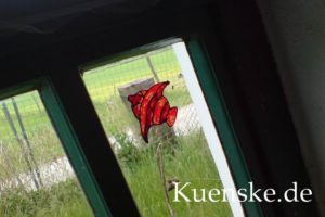 DSC00031
