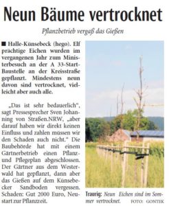 baum