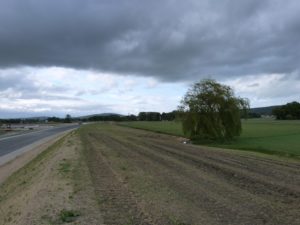 P1100286_