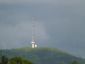P1100335_