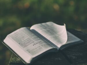 Book Cover: Die Bibel